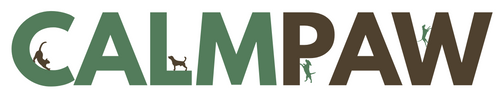 Mi tienda