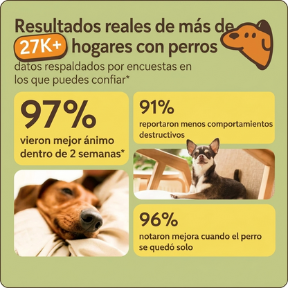 Selekta CalmPaw™ - Respira Paz en Casa